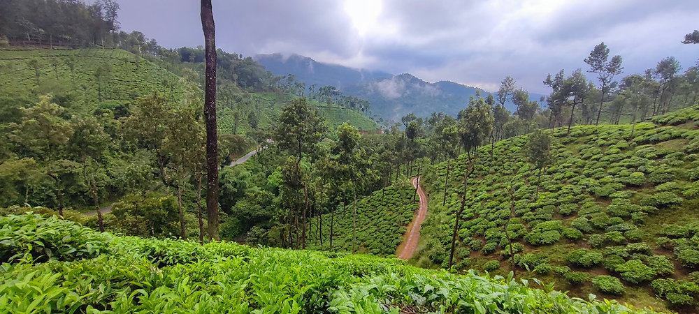 The road often traveled: tales of Chikkamagaluru and Rameswaram